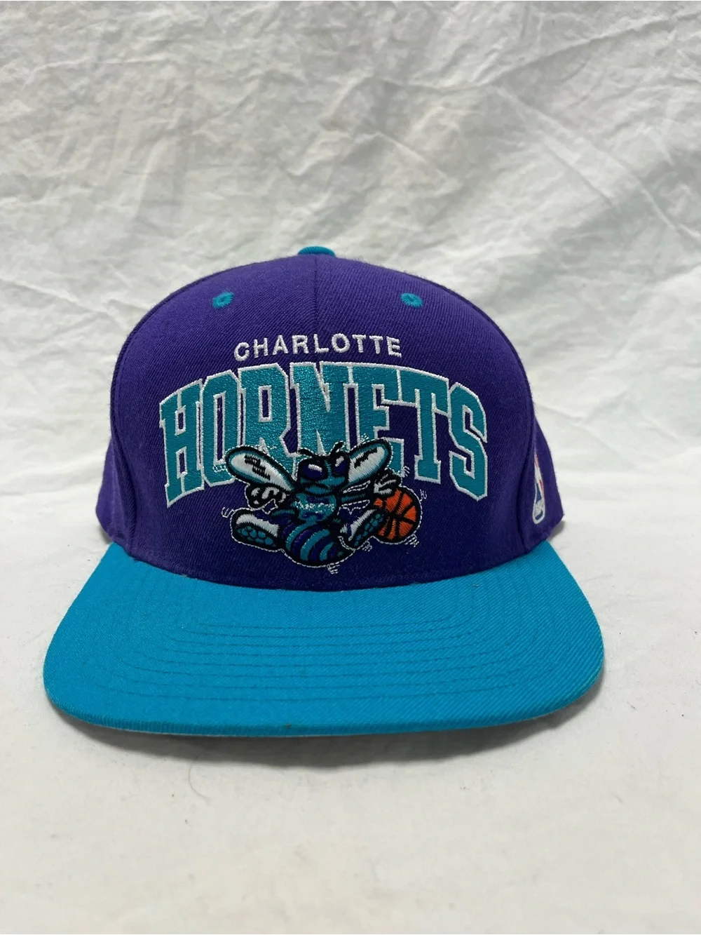 Air Jordan 10 Charlotte size 9.5 + Mitchell & Ness Charlotte Hornets Snapback